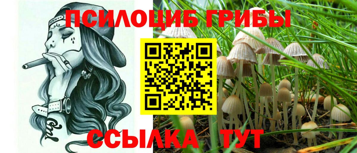 Псилоцибиновые грибы ЛСД  Вход с VPN  Томск  Псилоцибиновые грибы GOLDEN TEACHER 