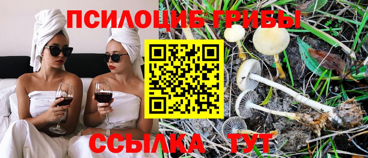 Галлюциногенные грибы MAGIC MUSHROOMS Томск